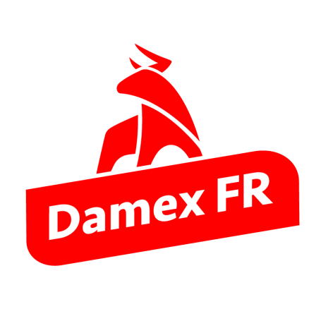 DAMEX FR Logo